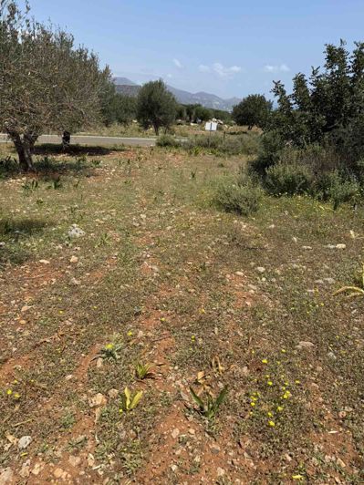 Image No.2-Land for sale