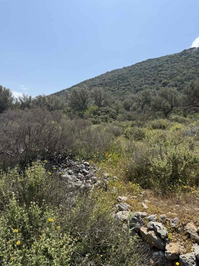 Image No.3-Land for sale