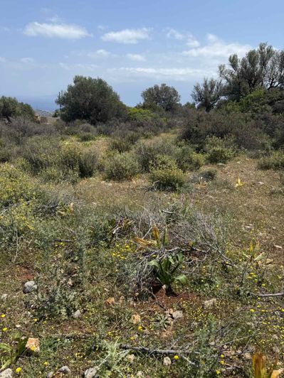 Image No.5-Land for sale