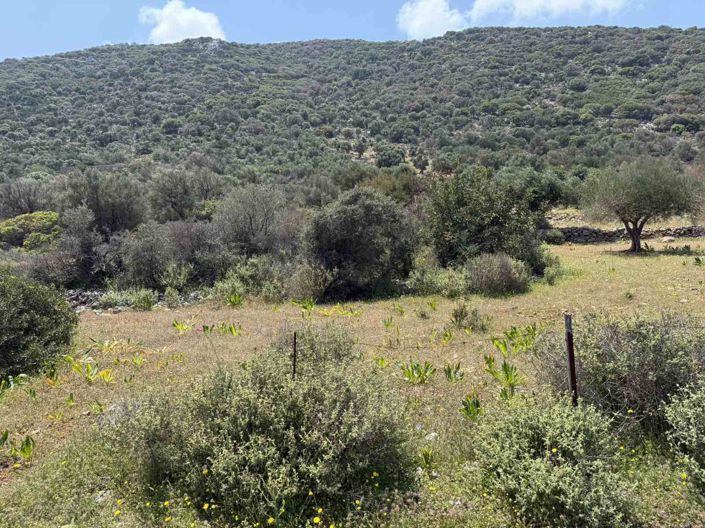 Image No.6-Land for sale