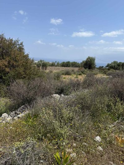 Image No.7-Land for sale