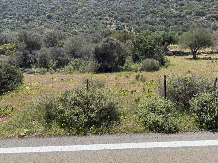 Image No.9-Land for sale