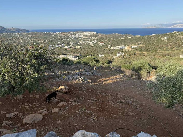 Image No.12-Land for sale