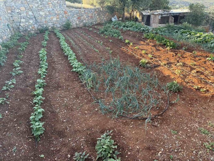 Image No.3-Land for sale