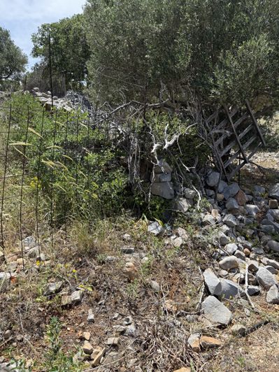 Image No.11-Land for sale