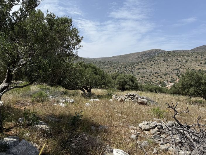 Image No.3-Land for sale