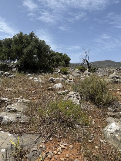 Image No.5-Land for sale