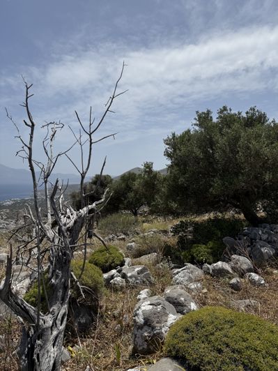 Image No.9-Land for sale