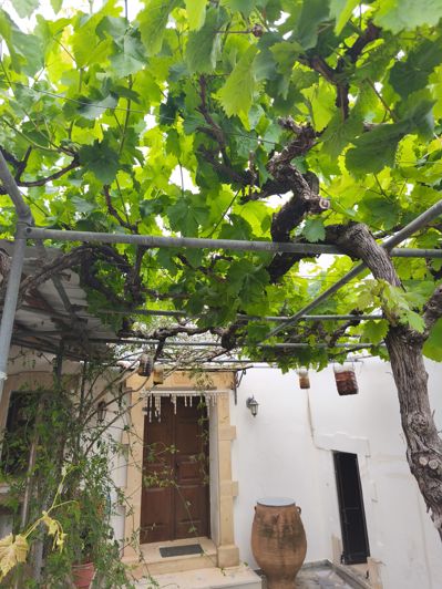 Image No.19-3 Bed House for sale