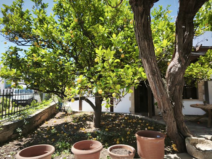 Image No.8-3 Bed House for sale