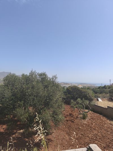 Image No.14-Land for sale