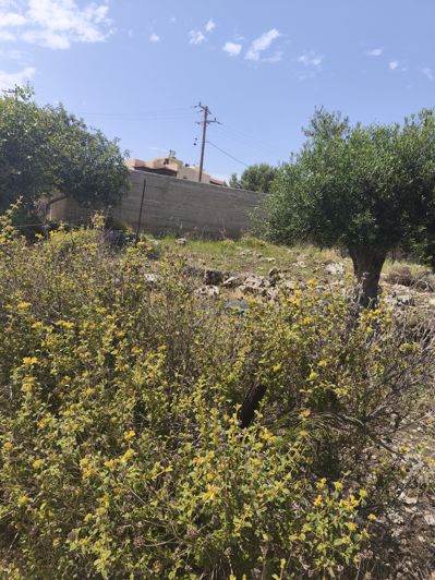 Image No.2-Land for sale