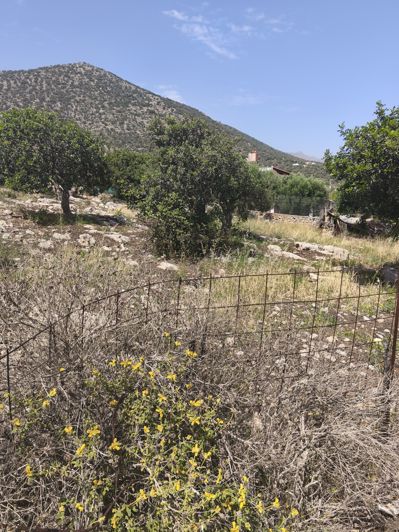 Image No.3-Land for sale