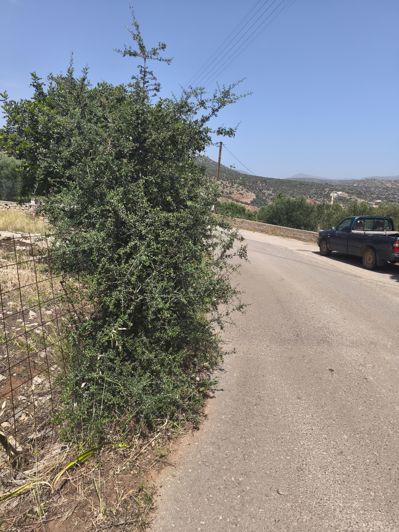 Image No.5-Land for sale