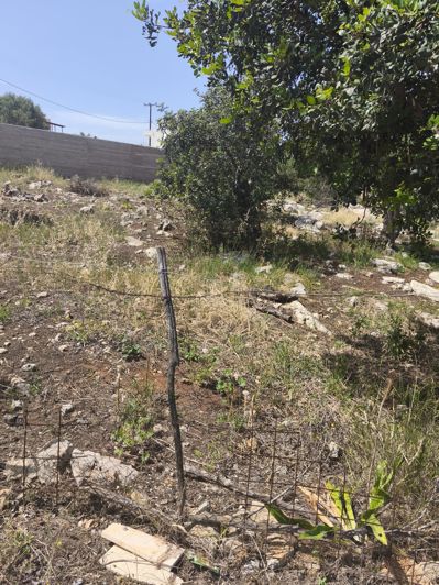 Image No.6-Land for sale