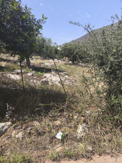 Image No.7-Land for sale