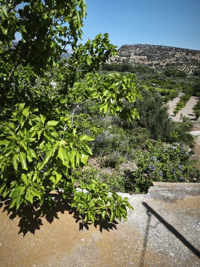 Image No.11-House for sale