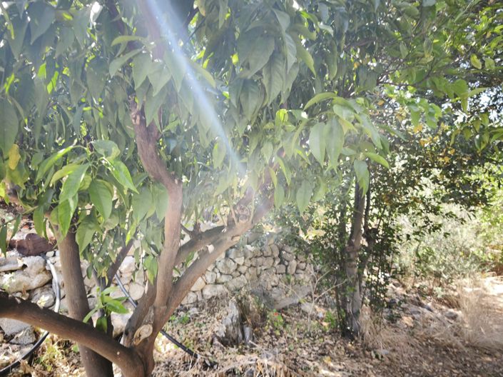 Image No.12-House for sale