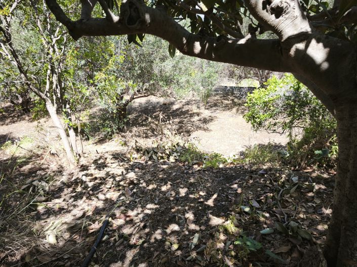 Image No.13-House for sale