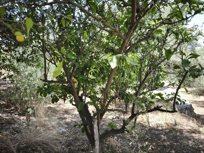 Image No.14-House for sale