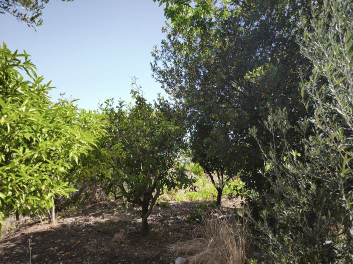 Image No.15-House for sale