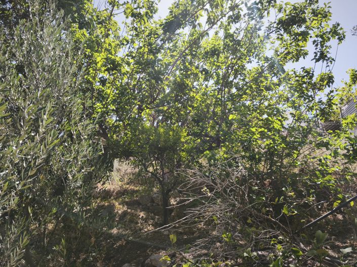 Image No.16-House for sale