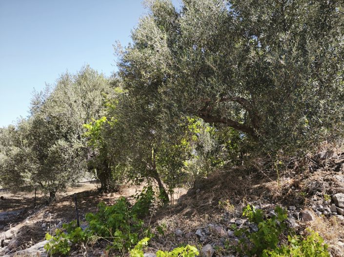 Image No.17-House for sale