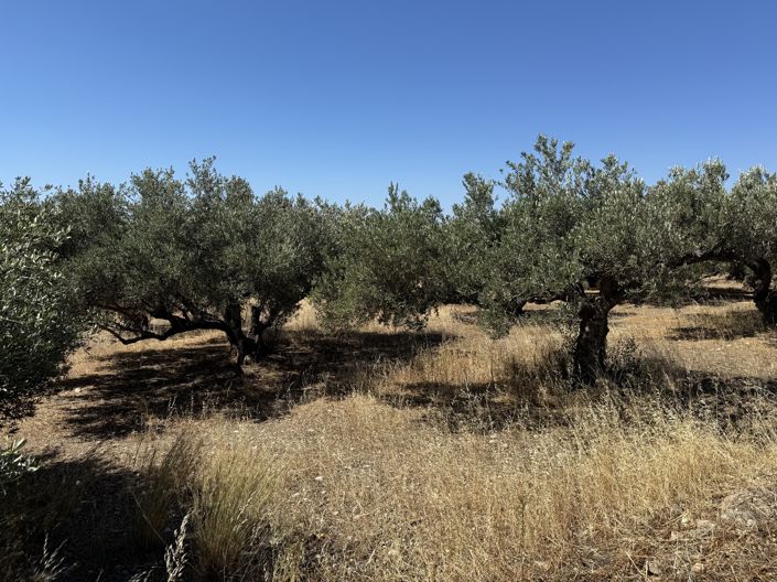 Image No.4-Property for sale