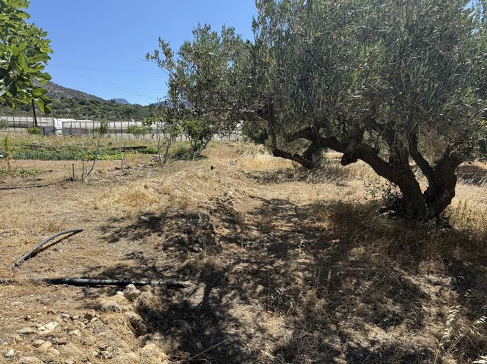 Image No.5-Property for sale