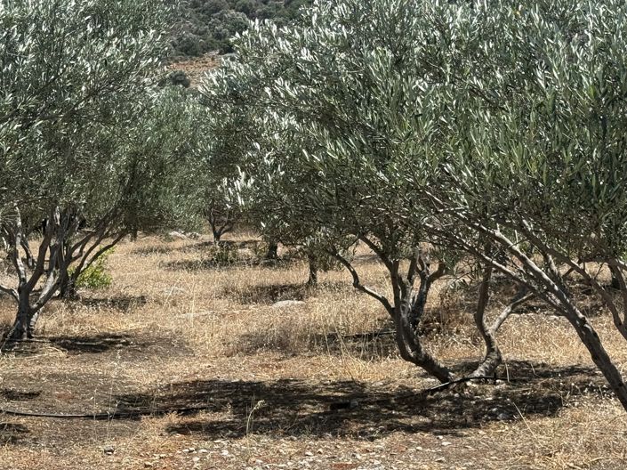 Image No.7-Land for sale