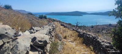 img-2167d0c67af2df2a0778756a2f88e67e-v