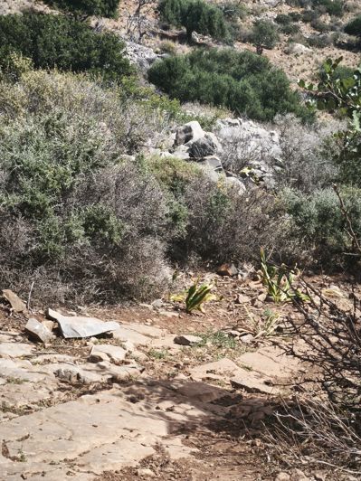 Image No.8-Land for sale