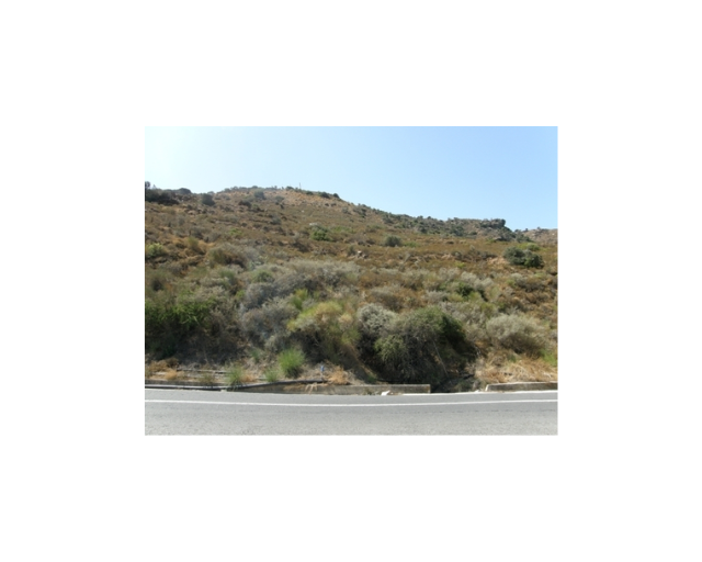 Image No.4-Land for sale