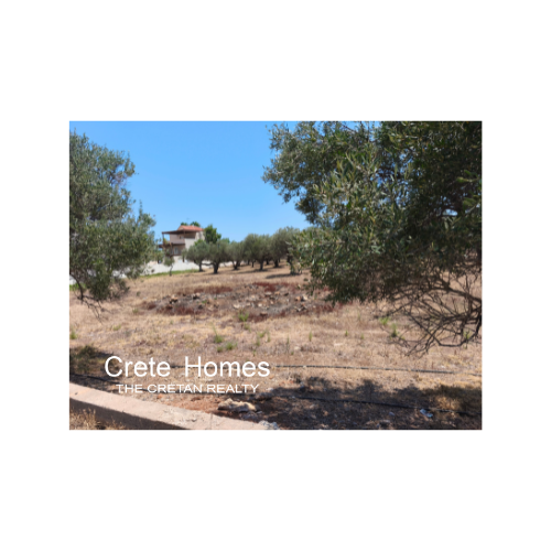 Image No.5-Land for sale