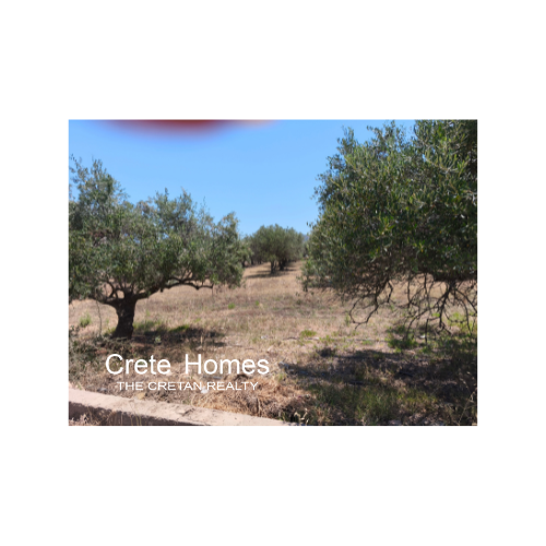 Image No.6-Land for sale