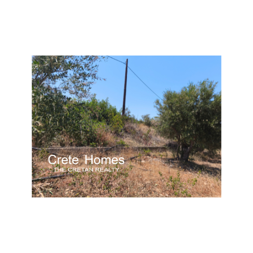 Image No.10-Land for sale