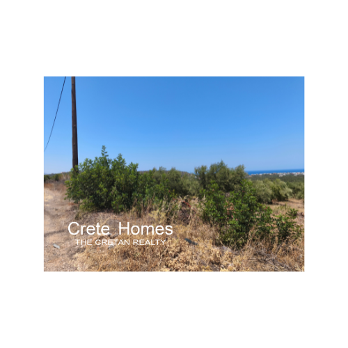 Image No.13-Land for sale