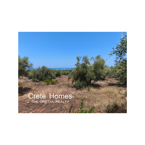 Image No.7-Land for sale