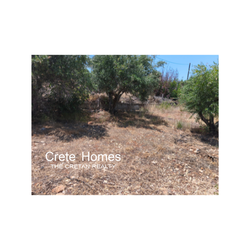 Image No.8-Land for sale