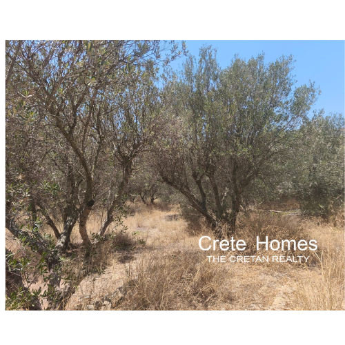 Image No.10-Terre à vendre à New Alikarnassos