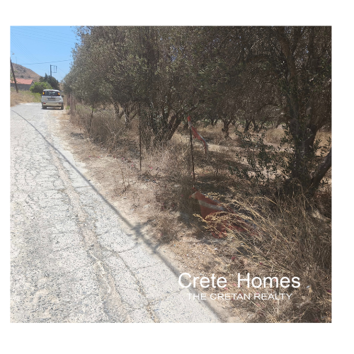 Image No.4-Terre à vendre à New Alikarnassos