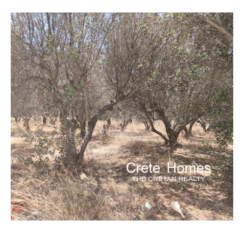 Image No.5-Terre à vendre à New Alikarnassos