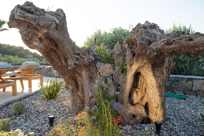 Image No.29-3 Bed Villa for sale