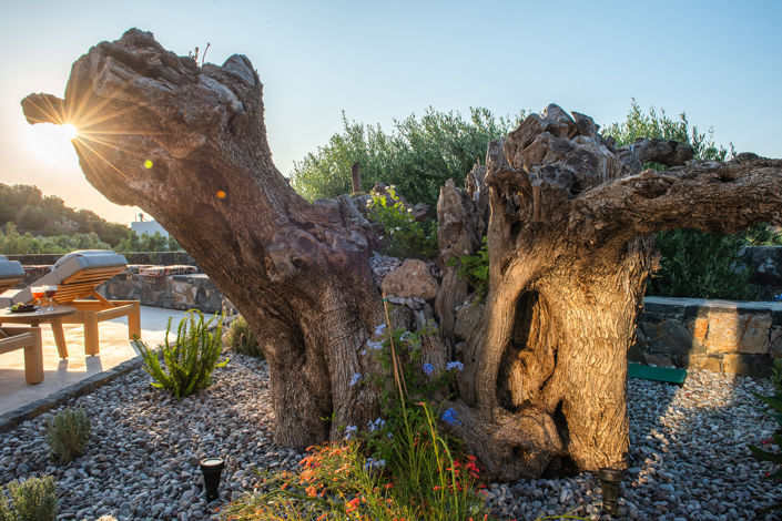 Image No.31-3 Bed Villa for sale