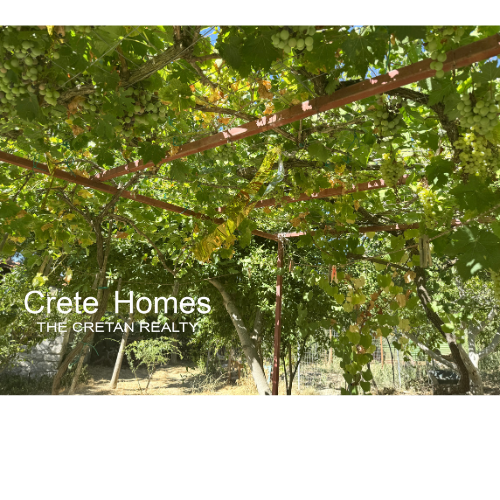 Image No.20-1 Bed House for sale