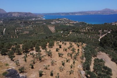 Crete Homes most sold property