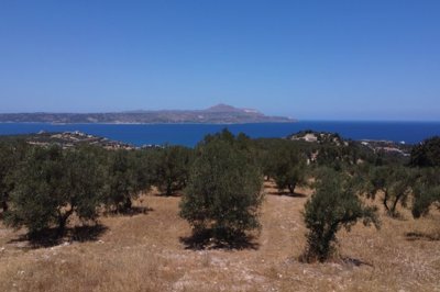 Crete Homes most sold property
