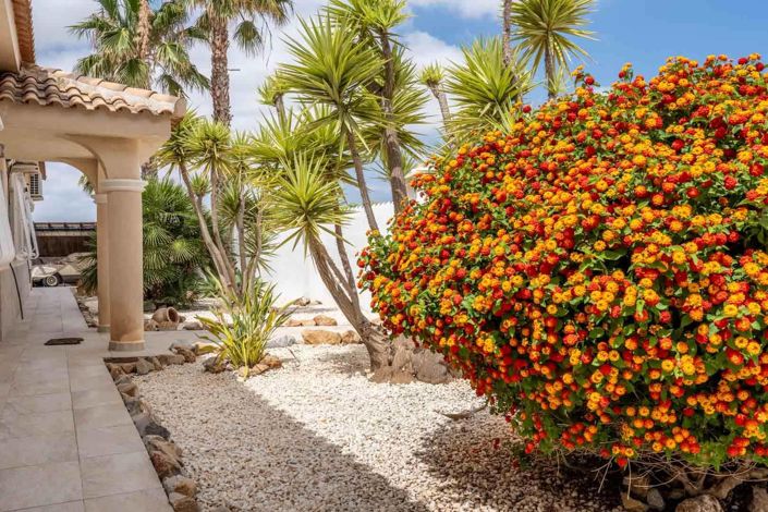 Image No.15-6 Bed Villa for sale