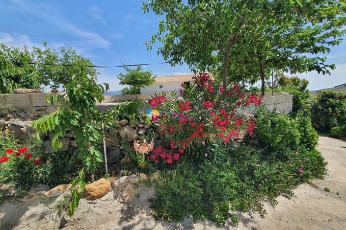 Image No.31-5 Bed Country House for sale