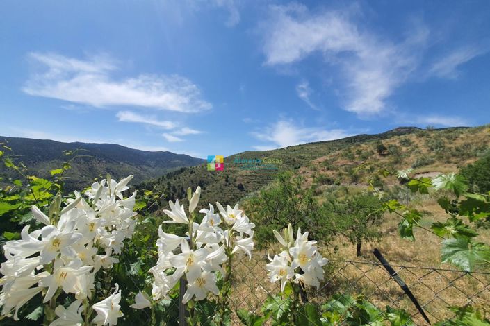 Image No.33-5 Bed Country House for sale